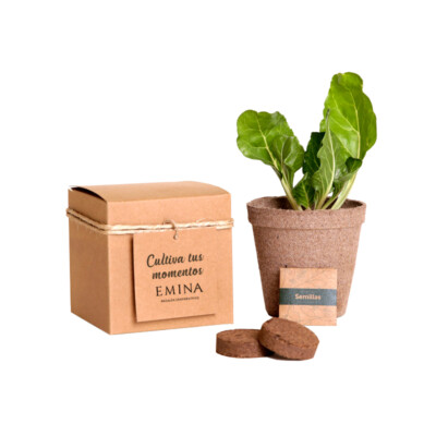 KIT DE SIEMBRA N°1