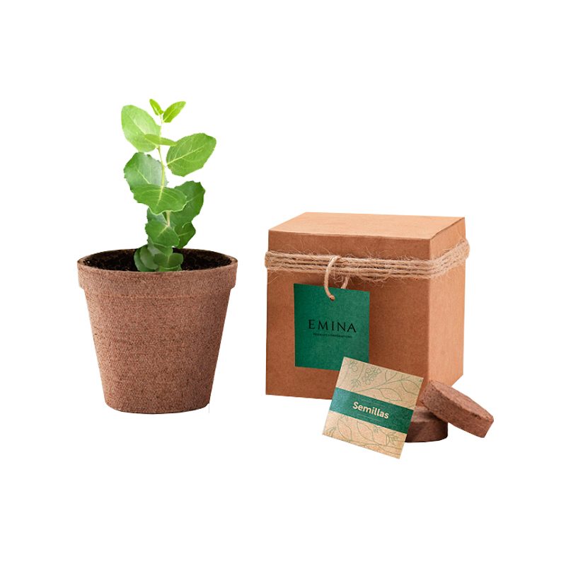 Siembra-un-Árbol